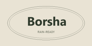 Borsha